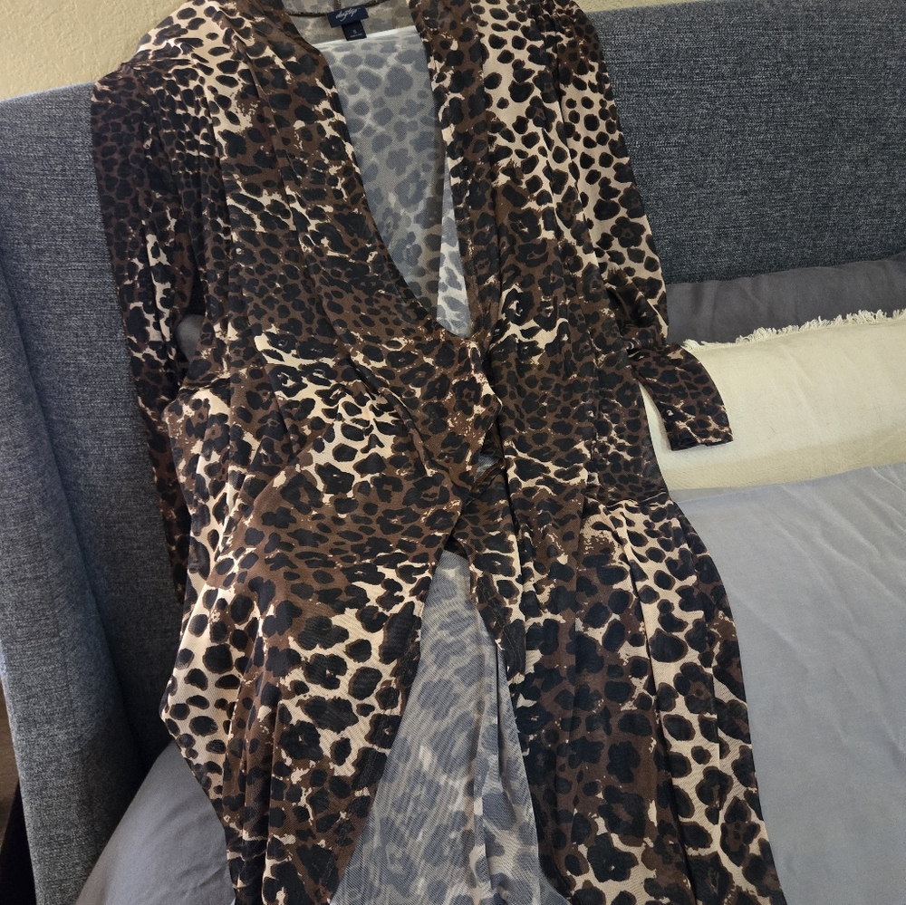 Day Trip, S. Leopard